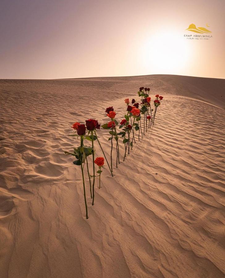 Camp Abdelmoula Otel Douz Dış mekan fotoğraf